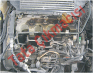 Plants: image 1 0f 20 thumb