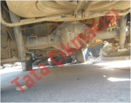 Plants: image 1 0f 20 thumb